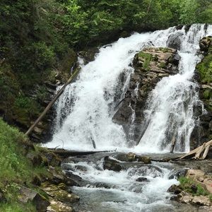 Meet your Posher, Sheila